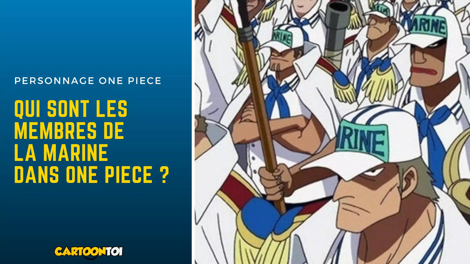 Les membres de la marine dans one piece