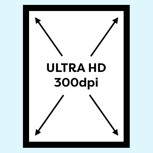 Your Portrait in Large Format